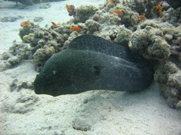 marsa_alam_200510 173